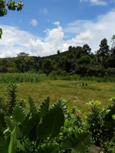 Agricultural Land